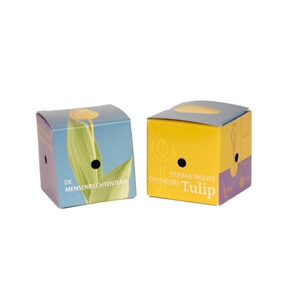 Mini bloembollen box - Afbeelding 4